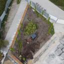 Sadzą zieleń na placu budowy [FOTO]  Życie Pabianic