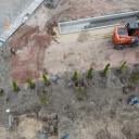 Sadzą zieleń na placu budowy [FOTO] Życie Pabianic