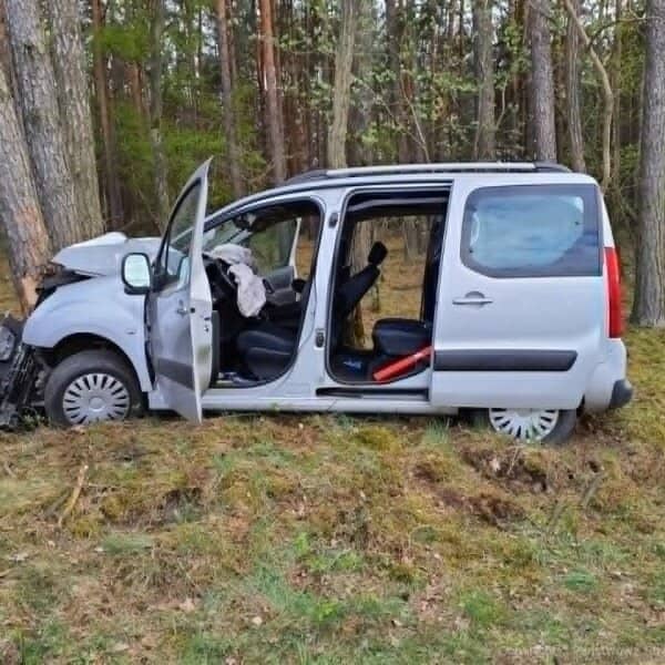 Zdjęcie