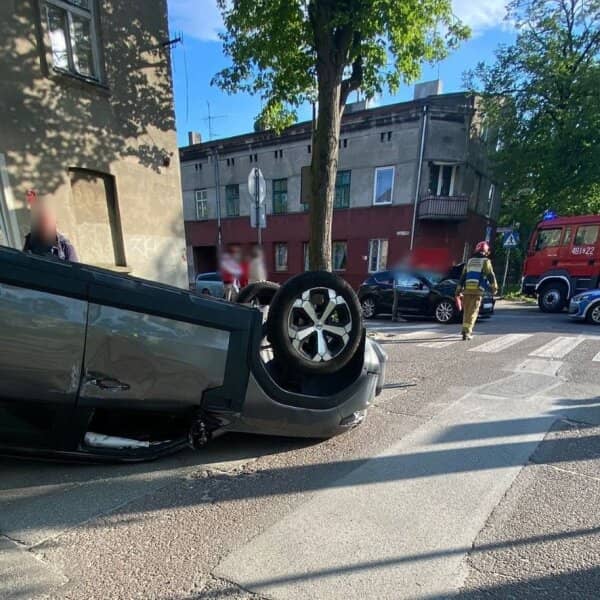 Zdjęcie