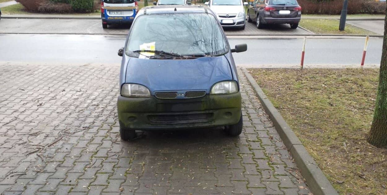 Zdjęcie