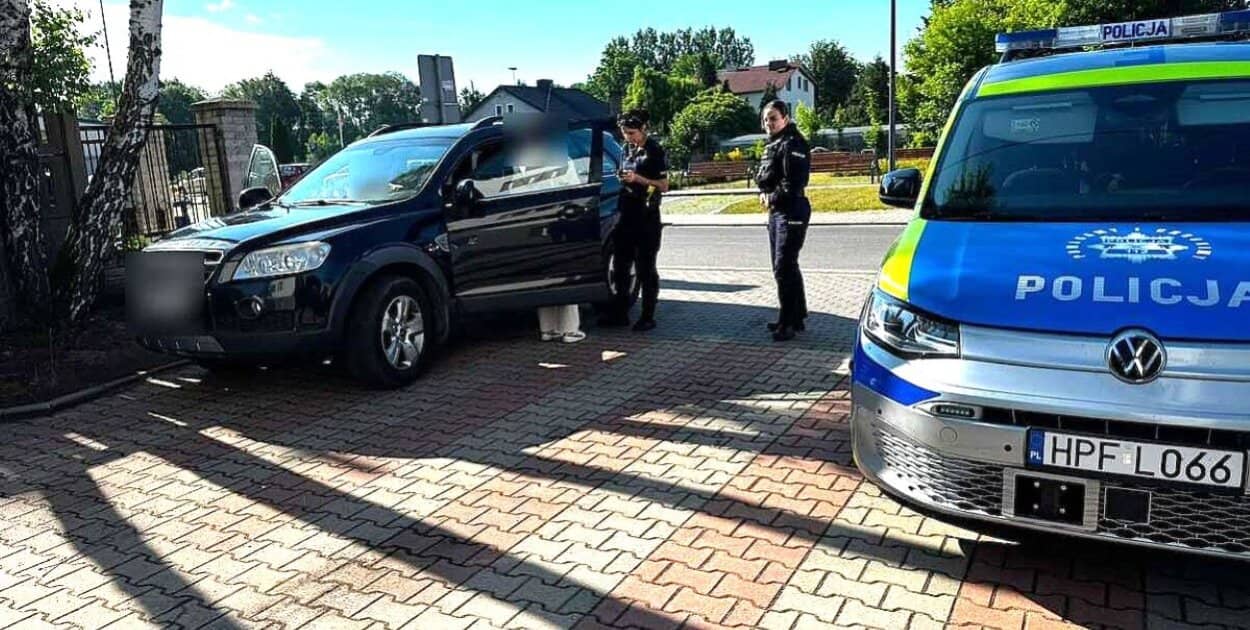 Zdjęcie
