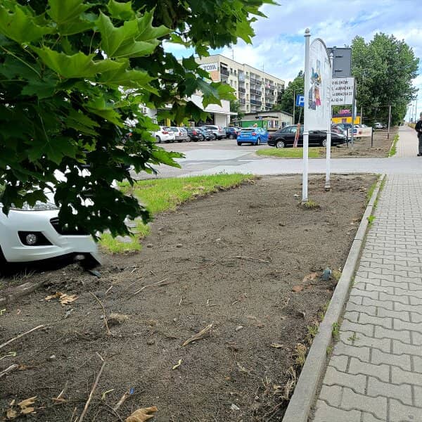 Zdjęcie