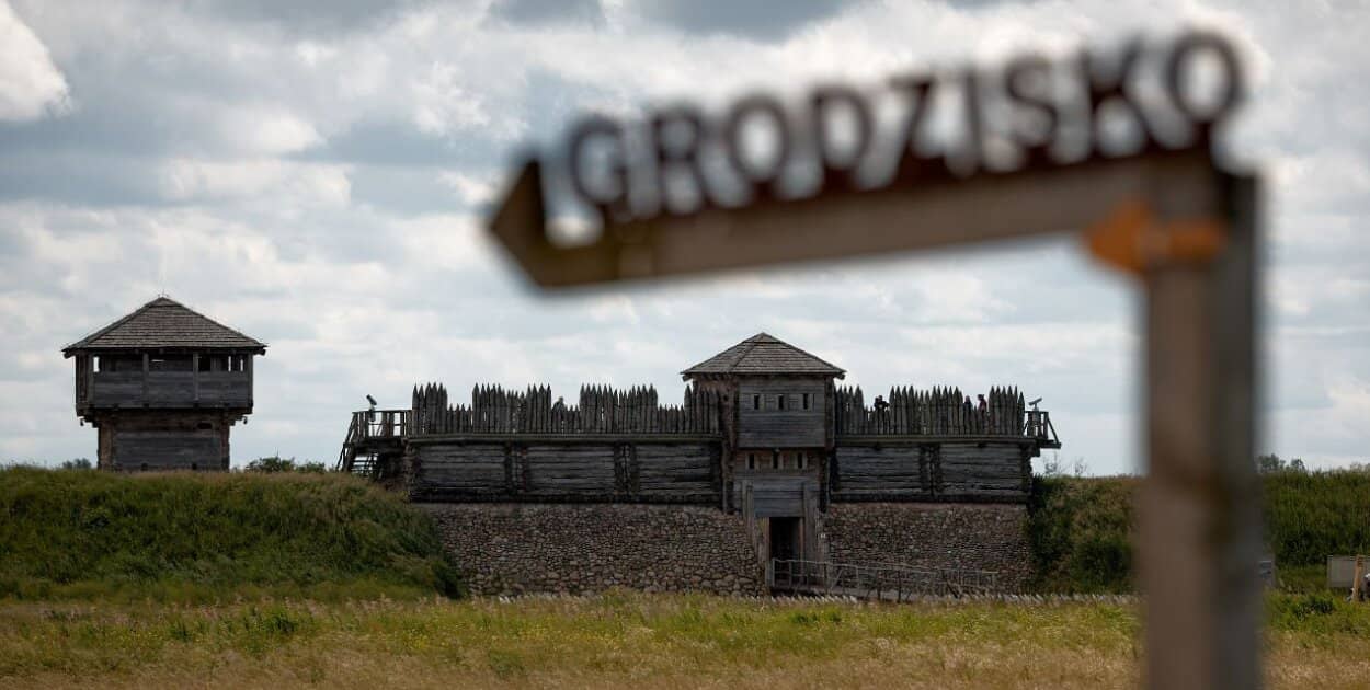 Zdjęcie