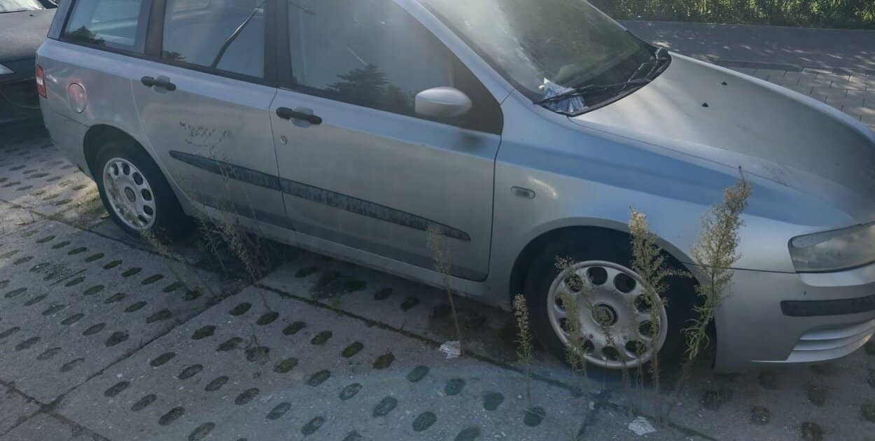 Zdjęcie