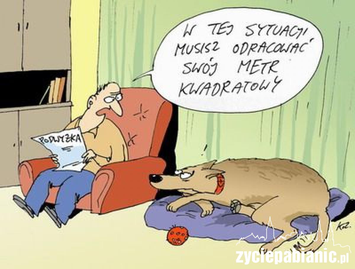 Komentarz Katarzyny Zalepy