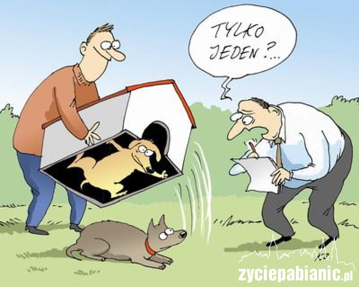 Komentarz Katarzyny Zalepy