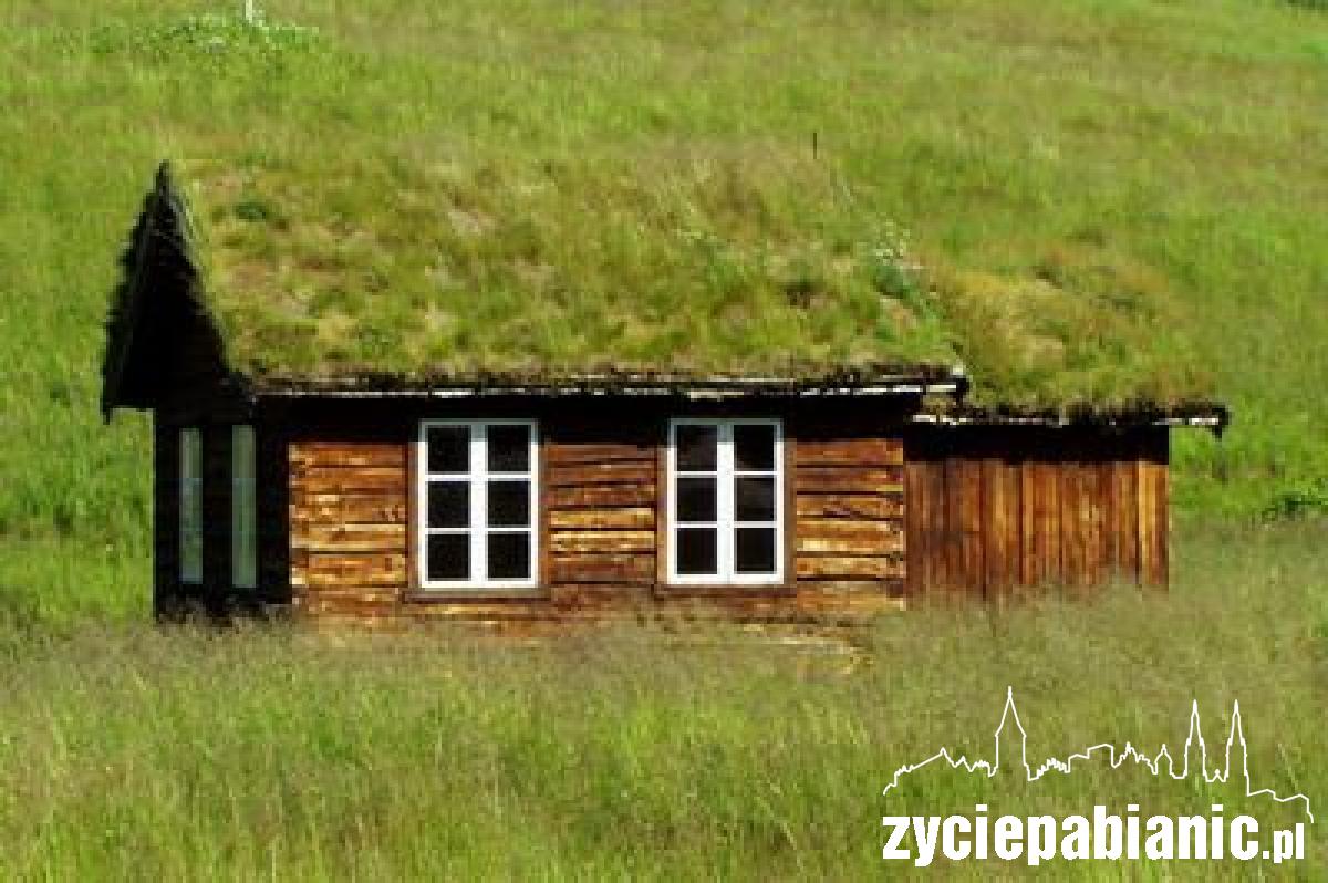 Zdjęcia z podróży Anny Wajs
