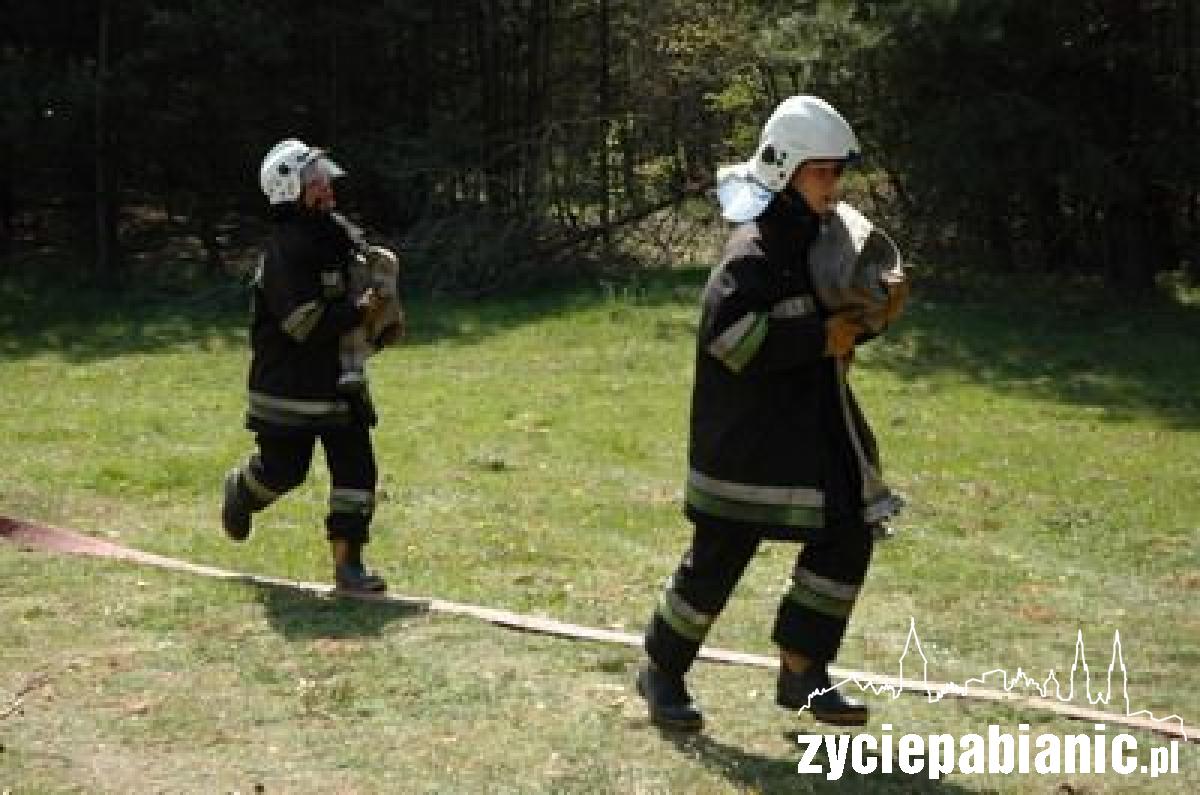 Płoną lasy wokół Pabianic