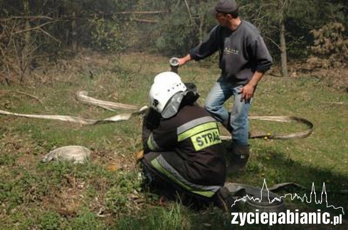 Płoną lasy wokół Pabianic