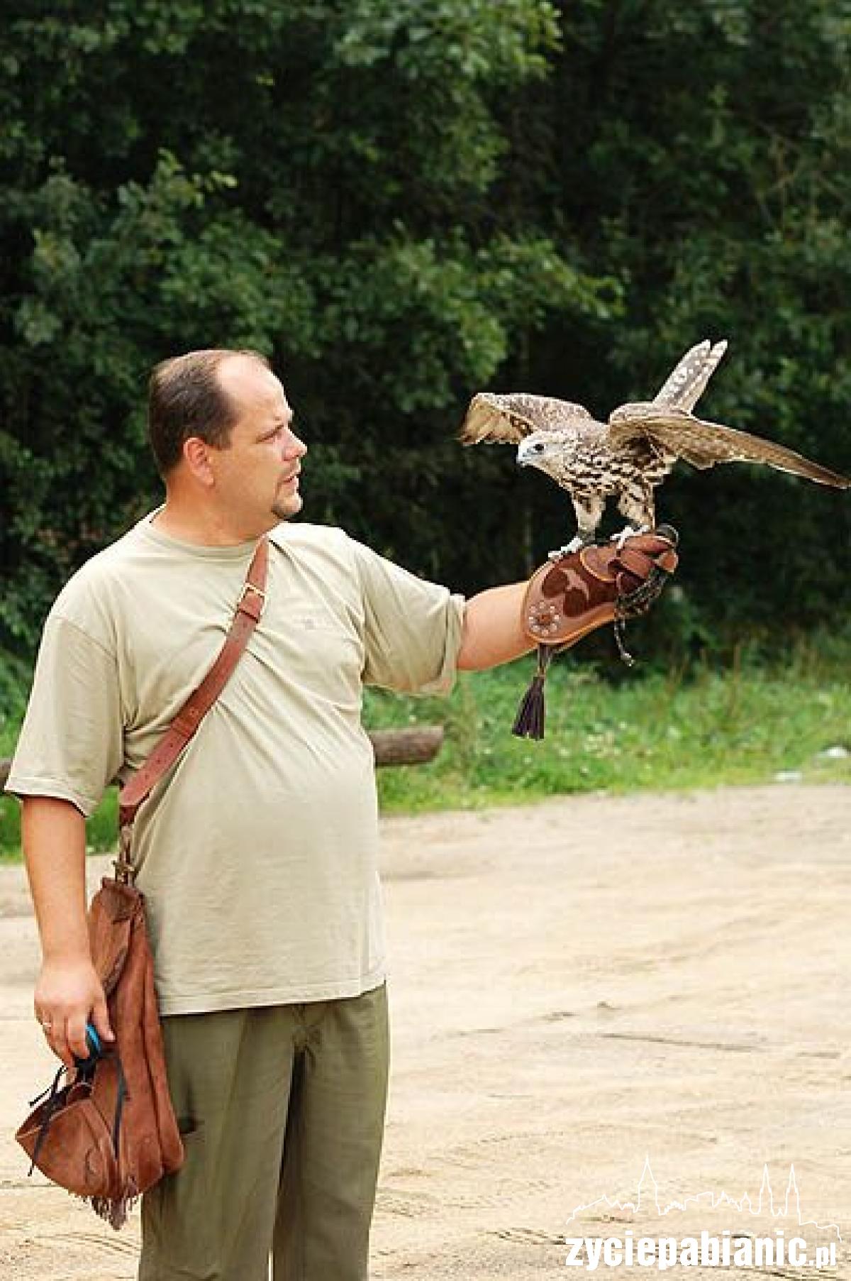 Skrzydlaci myśliwi