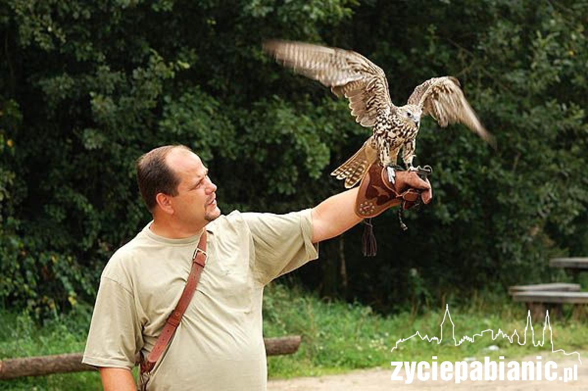 Skrzydlaci myśliwi