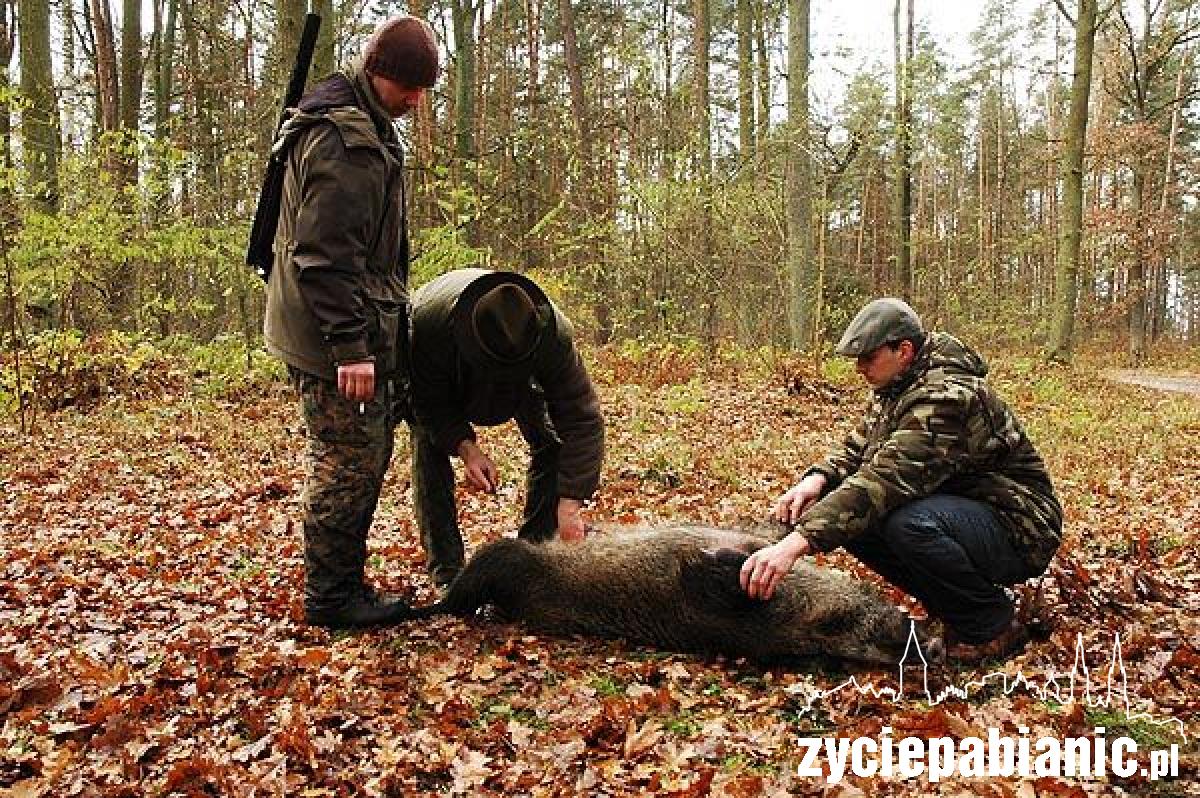 Hubertus, czyli wielkie polowanie
