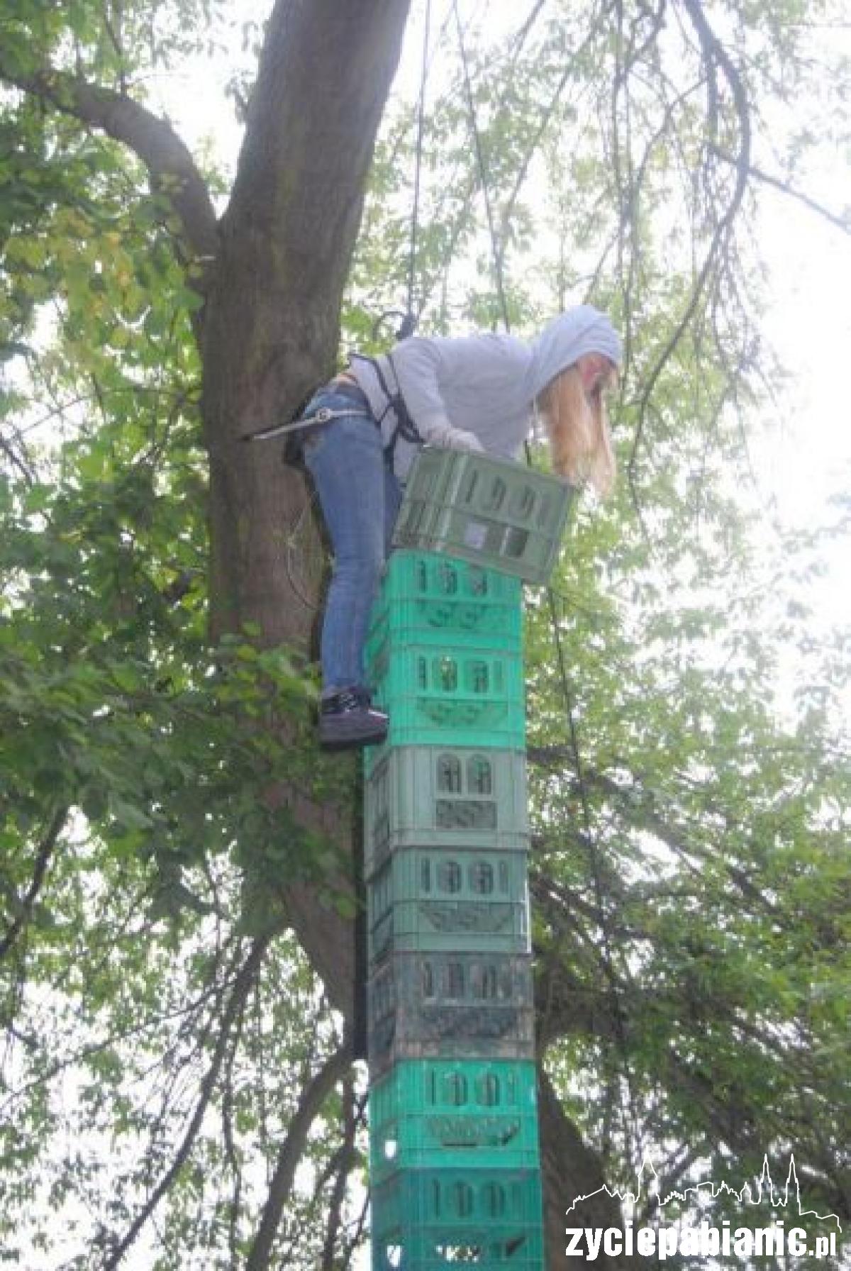 Karnawał w Małeczu