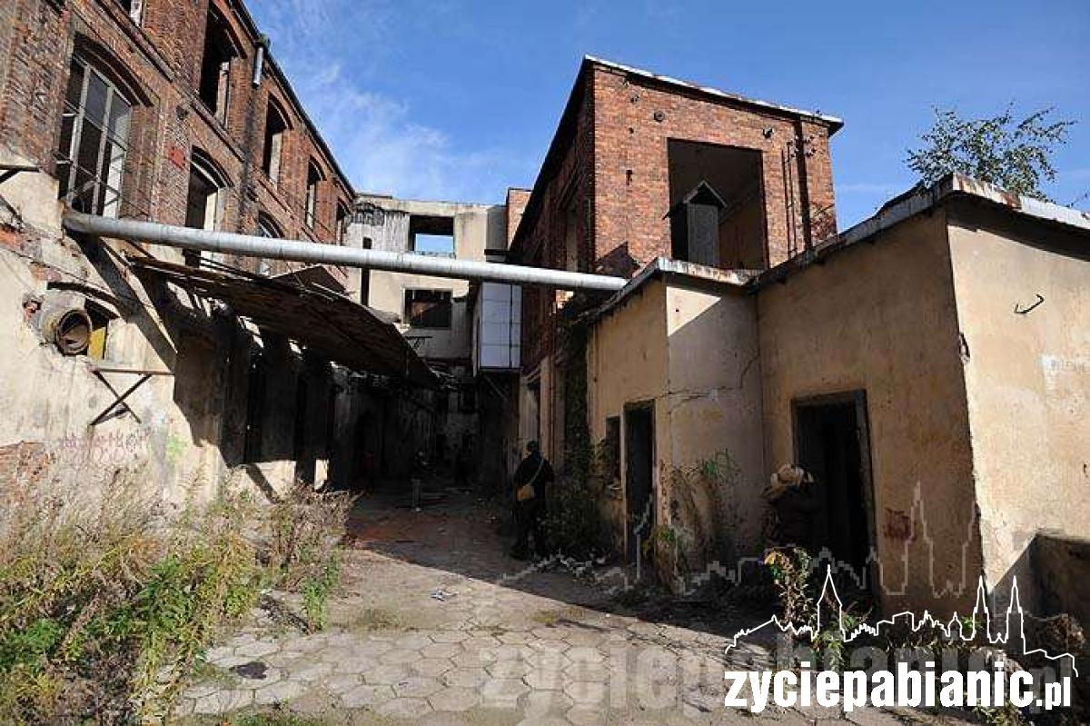 Pawelana w obiektywie