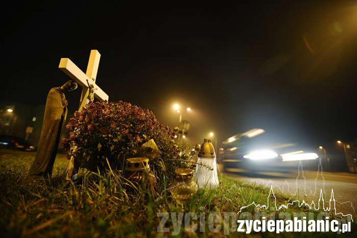 2009 rok w obiektywie