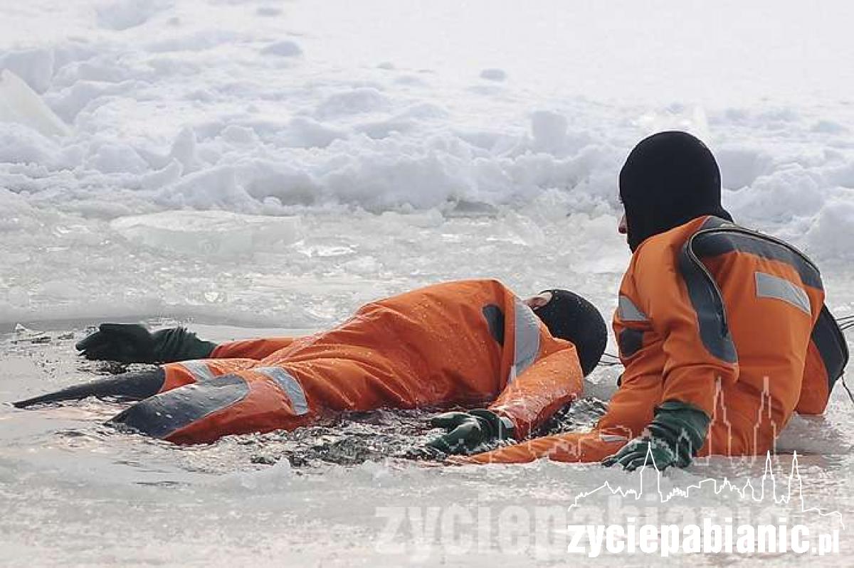 Rok 2010 na zdjęciach