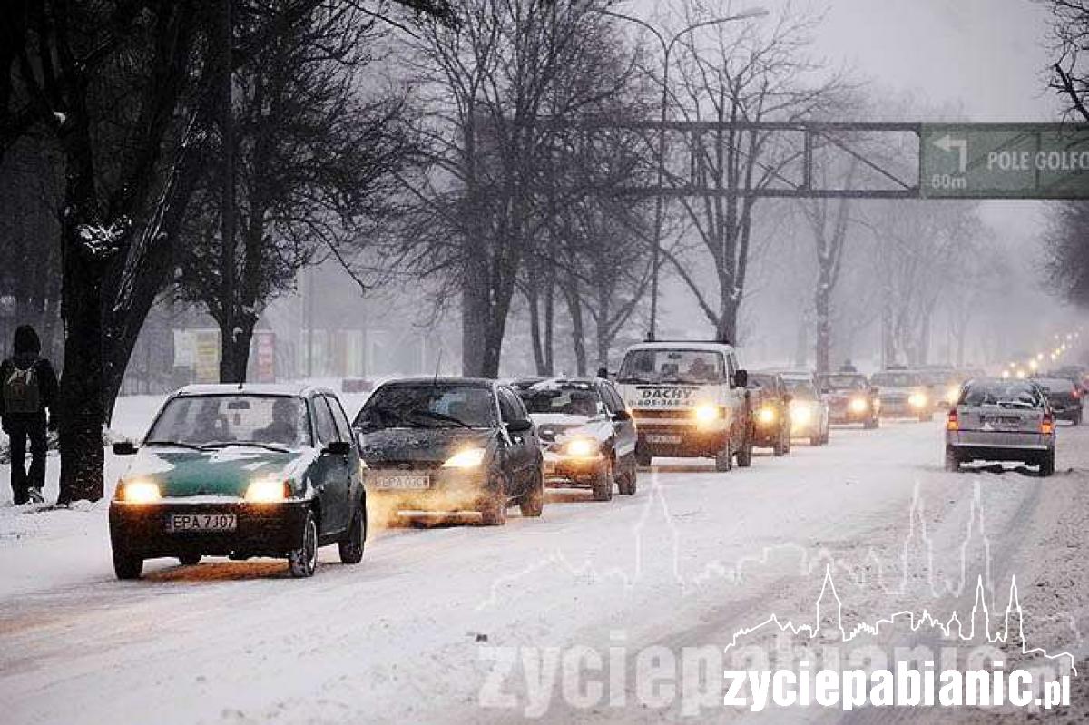 Rok 2010 na zdjęciach