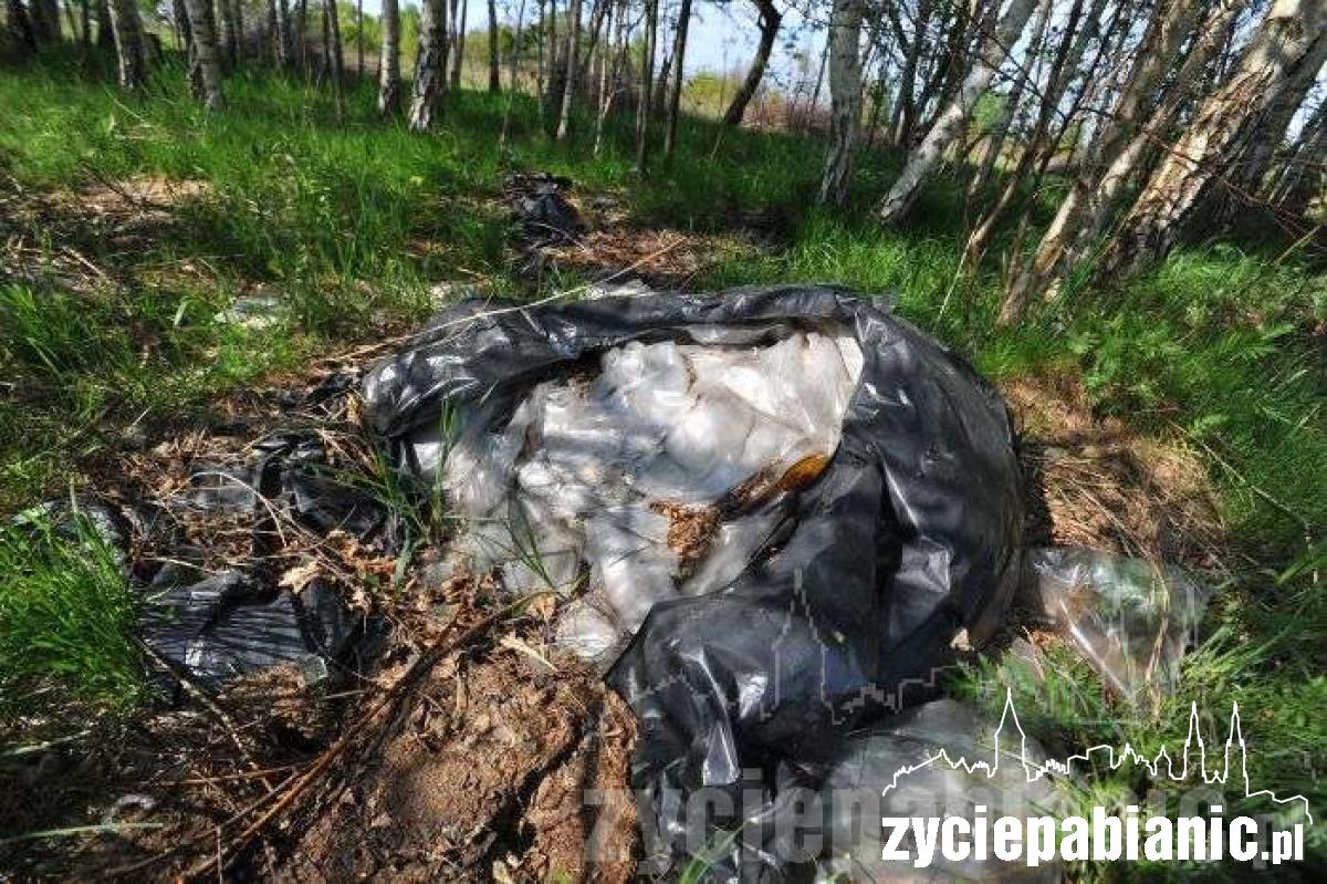 Śmietnik na polach