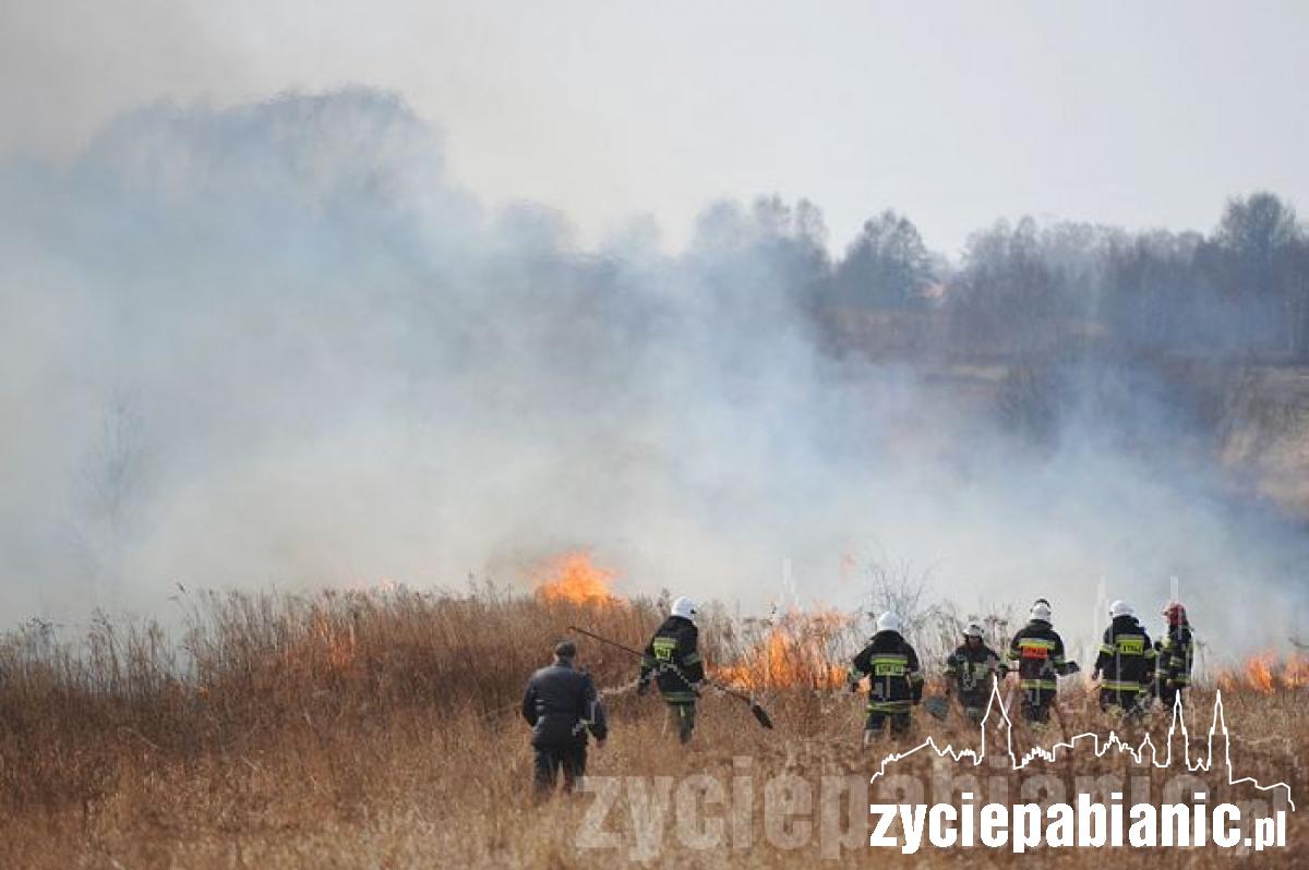 80 strażaków w akcji