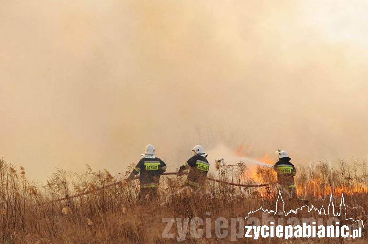 80 strażaków w akcji