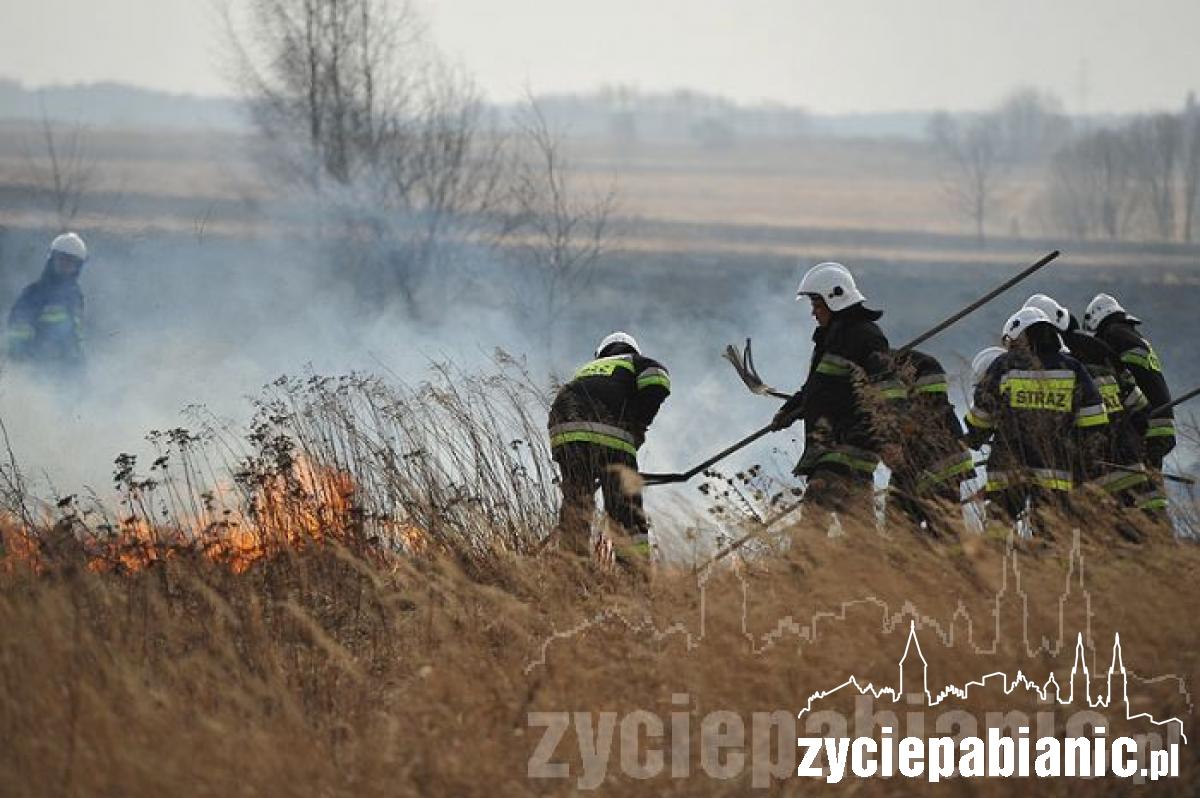 80 strażaków w akcji