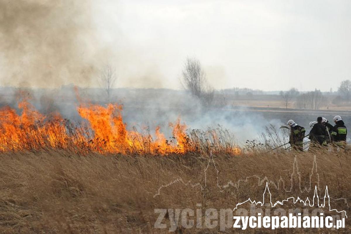 80 strażaków w akcji
