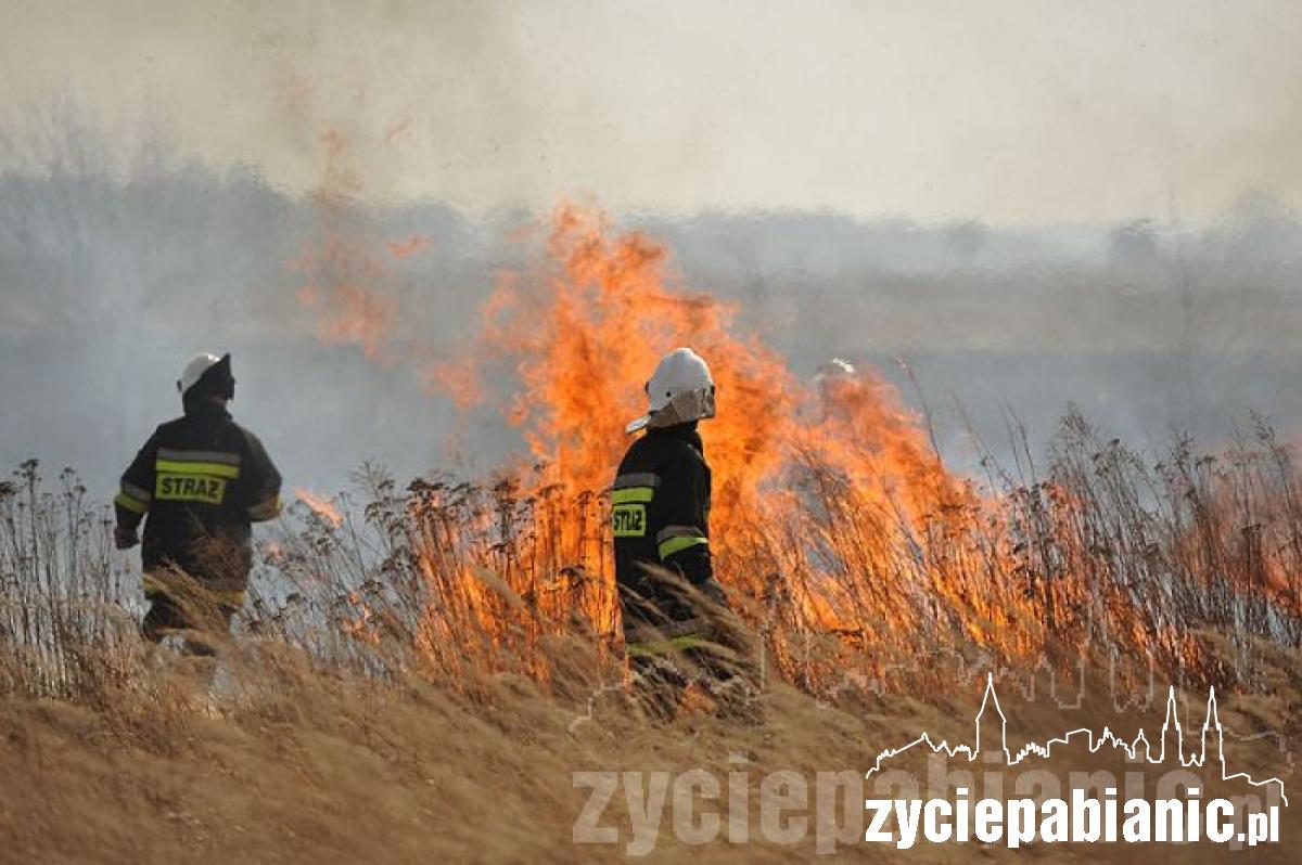 80 strażaków w akcji