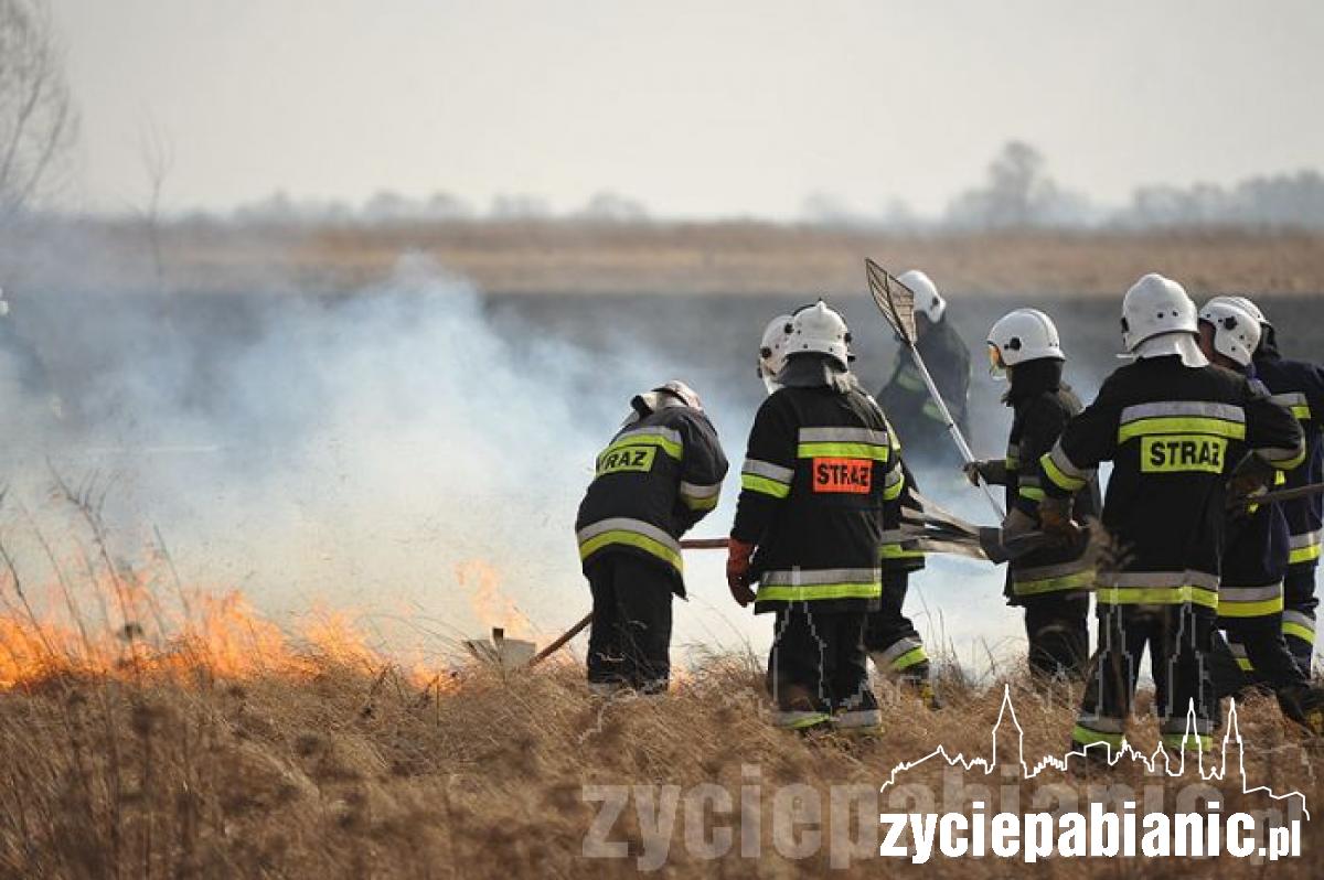 80 strażaków w akcji