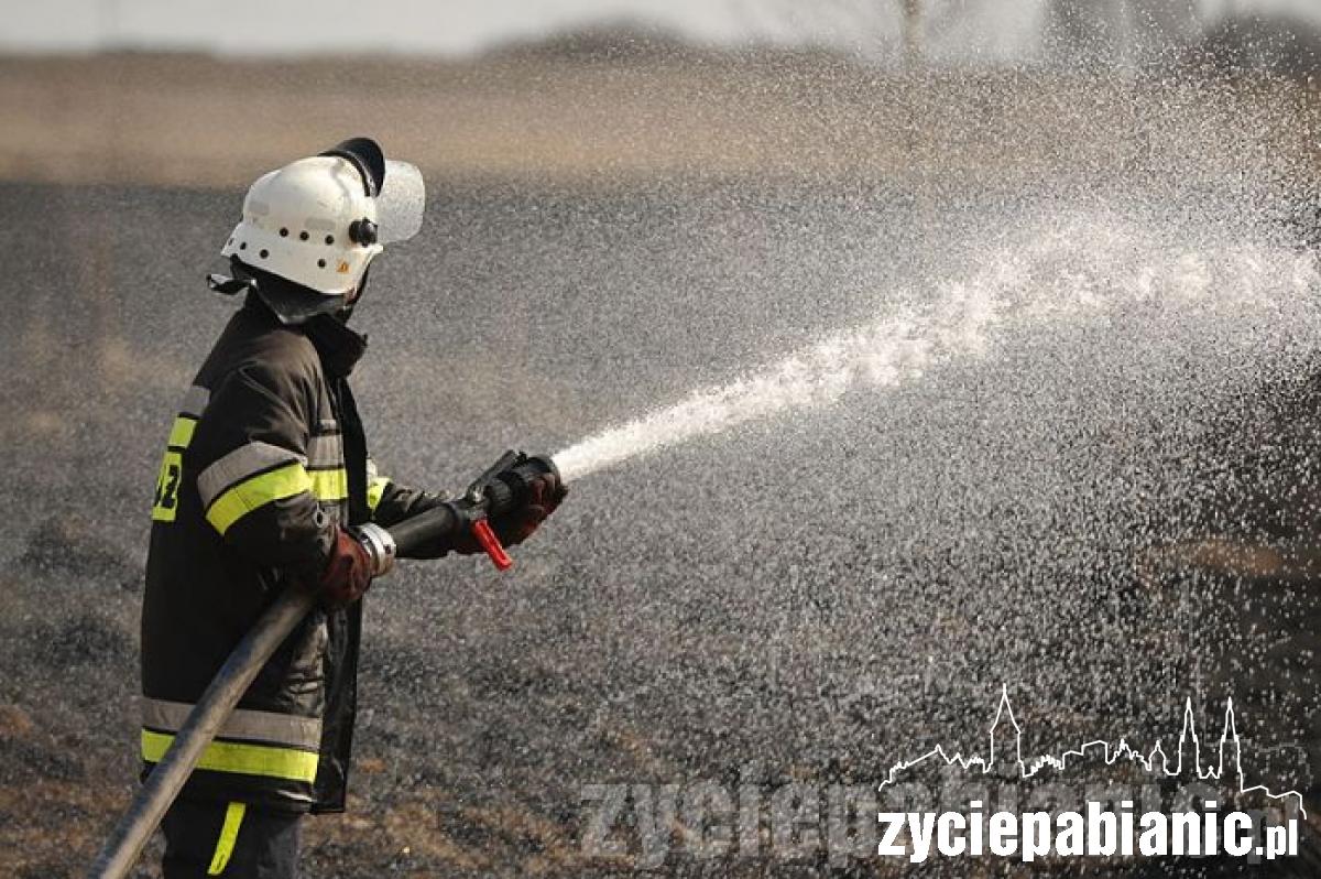 80 strażaków w akcji