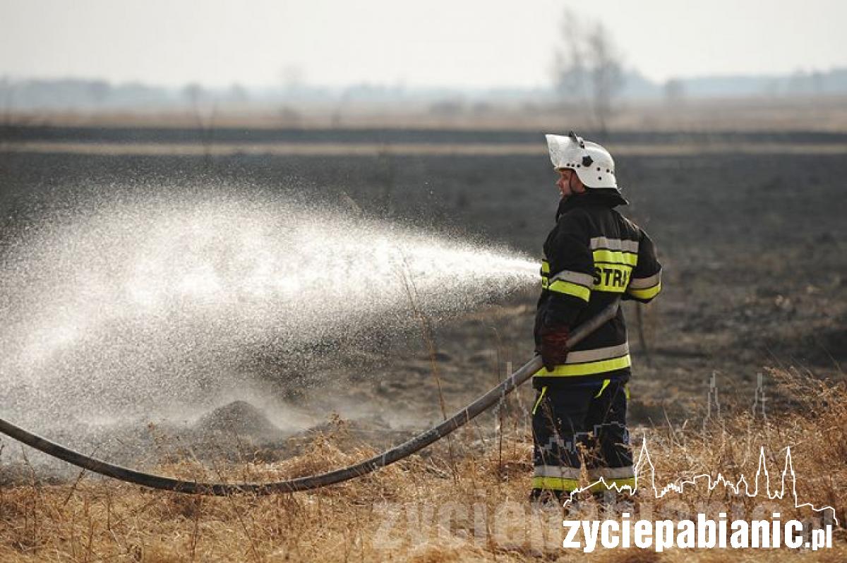 80 strażaków w akcji