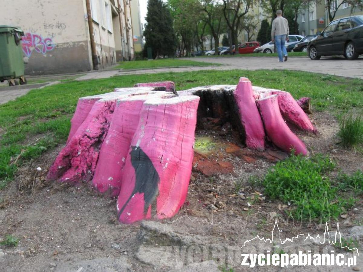 Kto tak pięknie zdobi miasto?