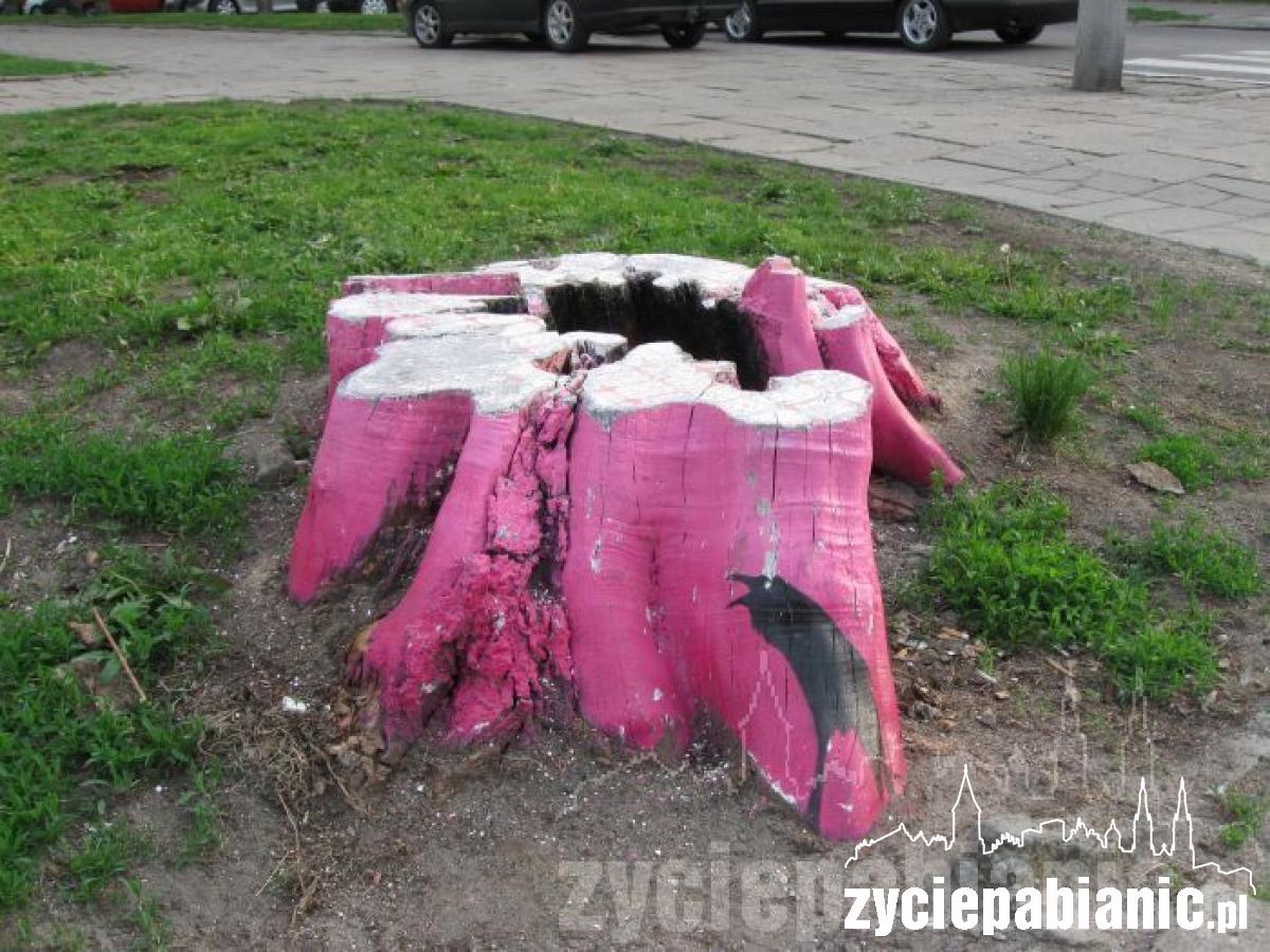 Kto tak pięknie zdobi miasto?