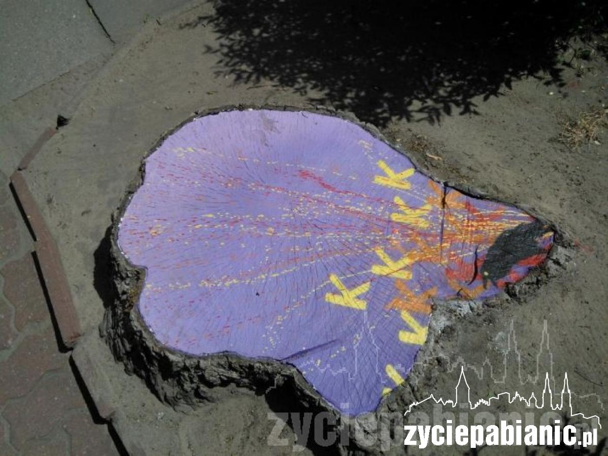 Kruk się nie obija