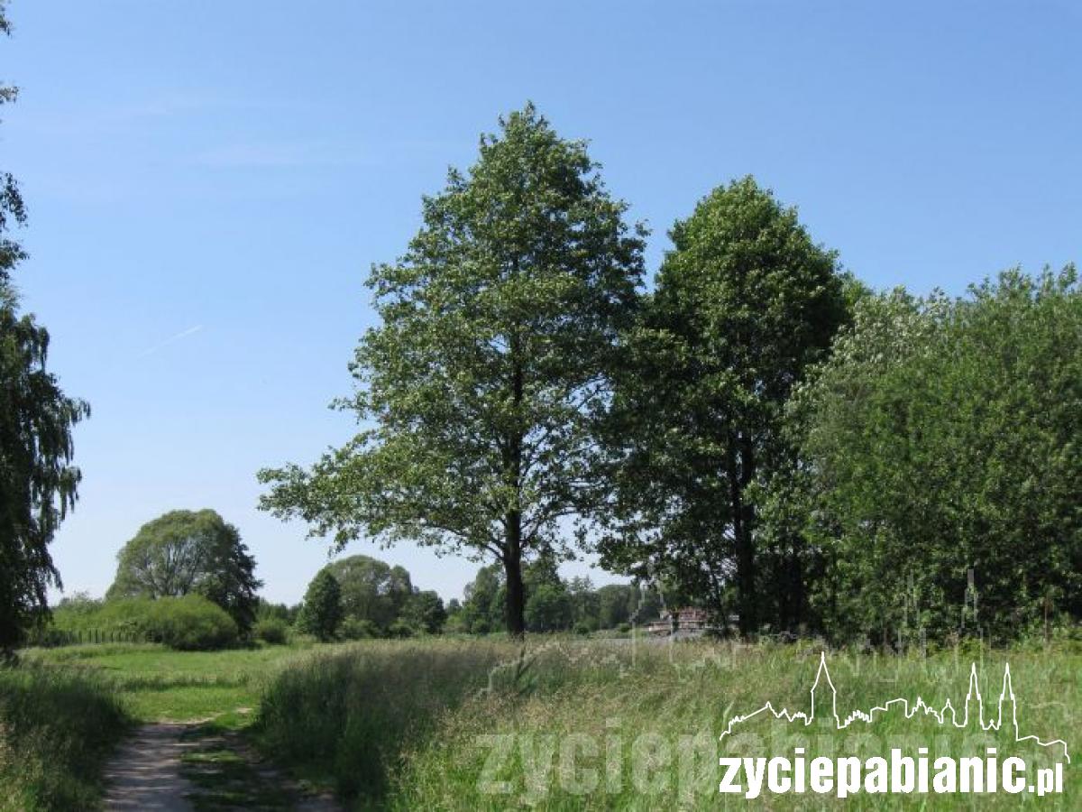 Gdzie ukryć się przed upałem?