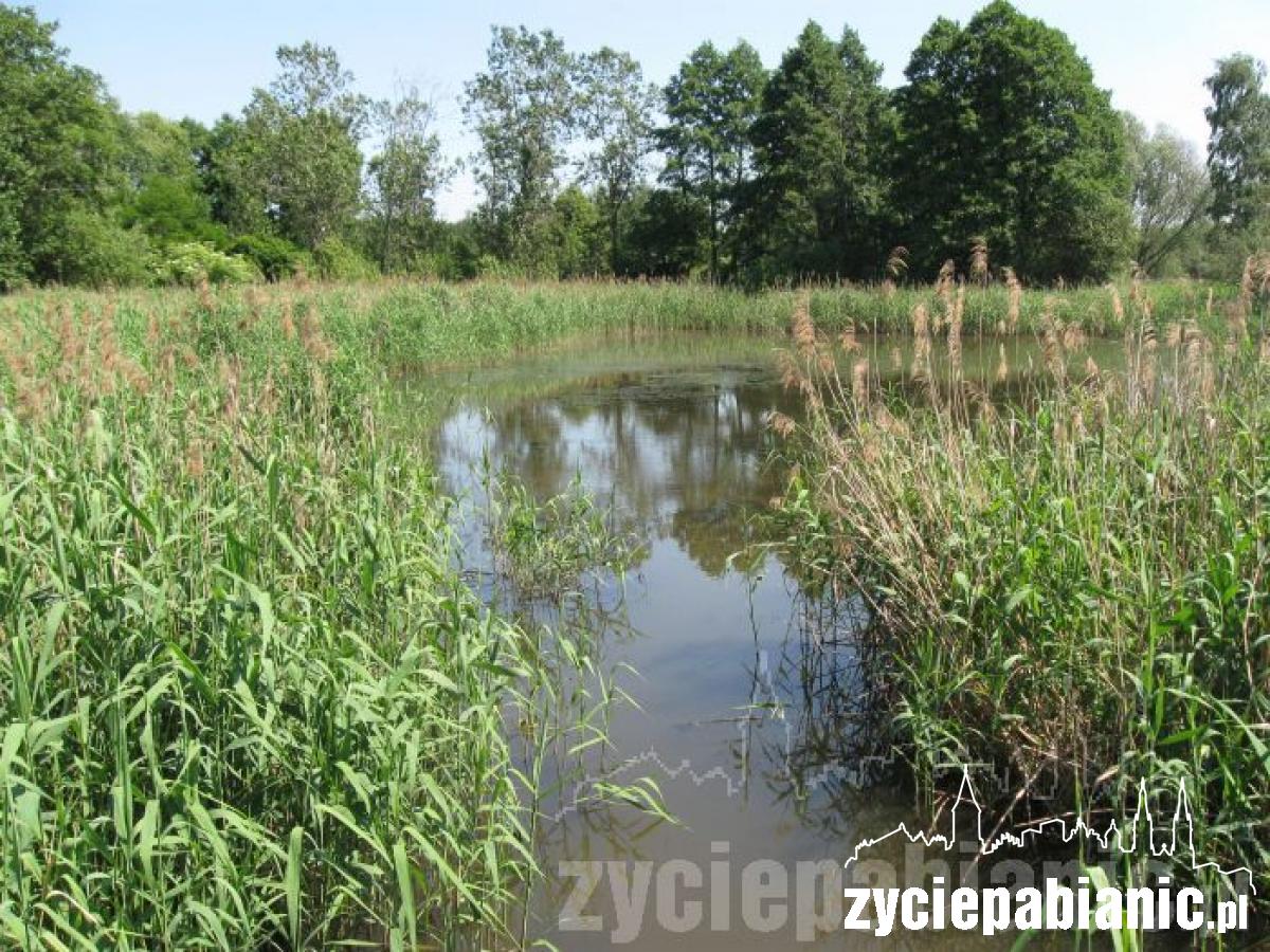 Gdzie ukryć się przed upałem?