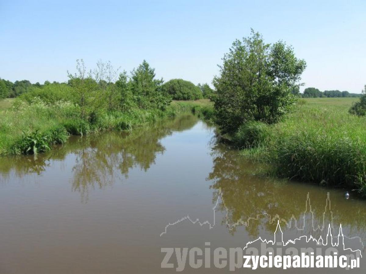 Gdzie ukryć się przed upałem?