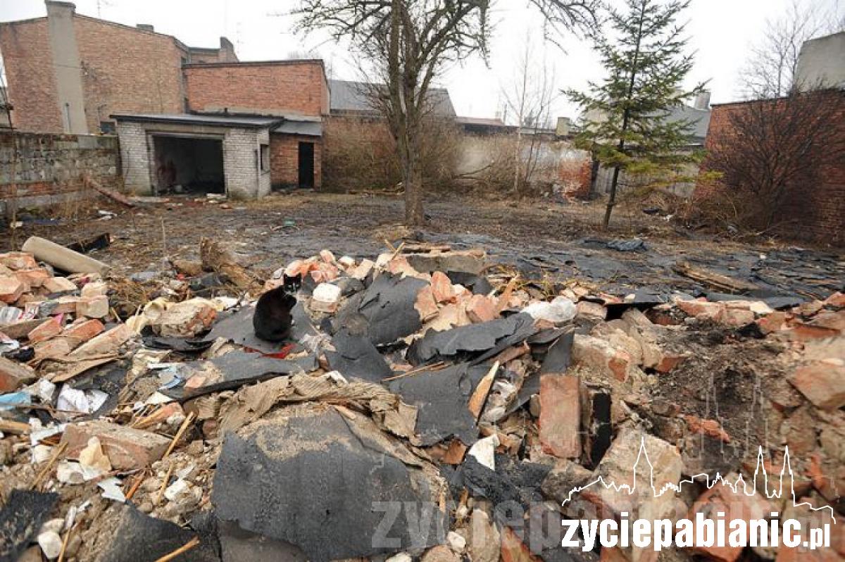 Rok 2012 na zdjęciach