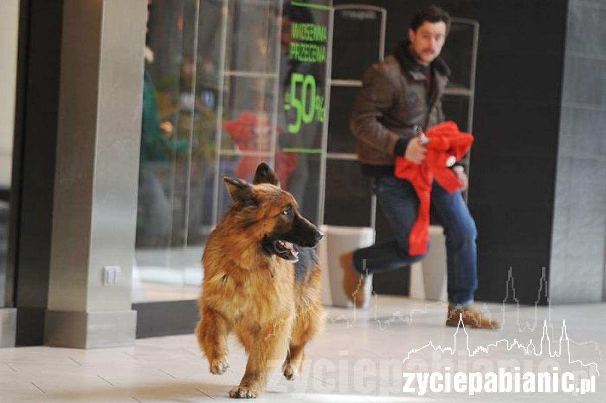 Kręcili w Porcie Łódź
