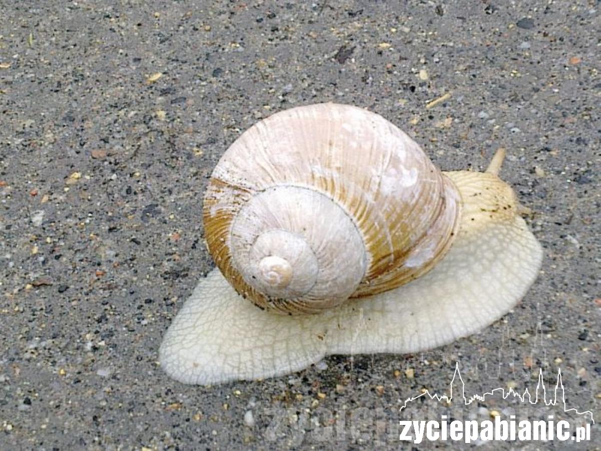 Wiosna przyszła do nas