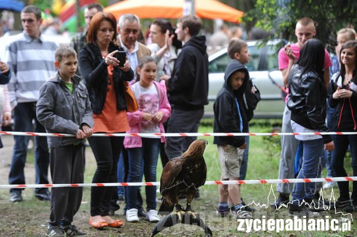Bawimy się na Dniach Powiatu