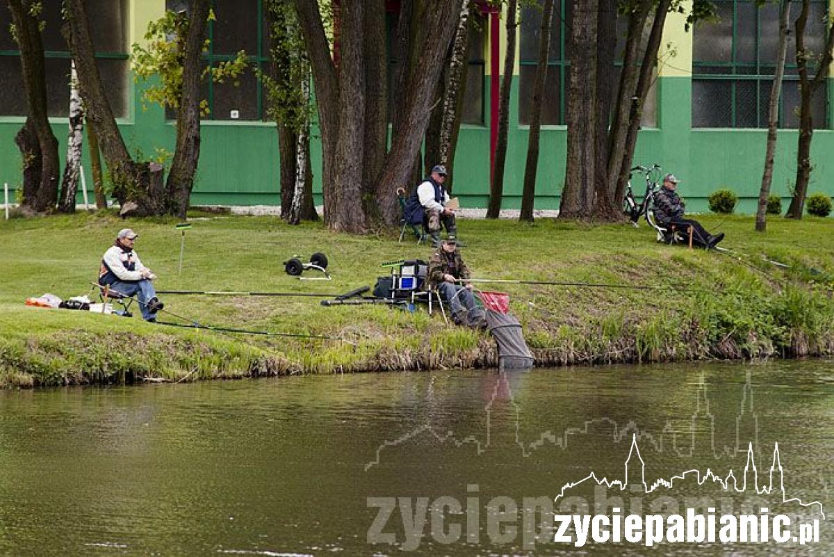 Bawimy się na Dniach Powiatu