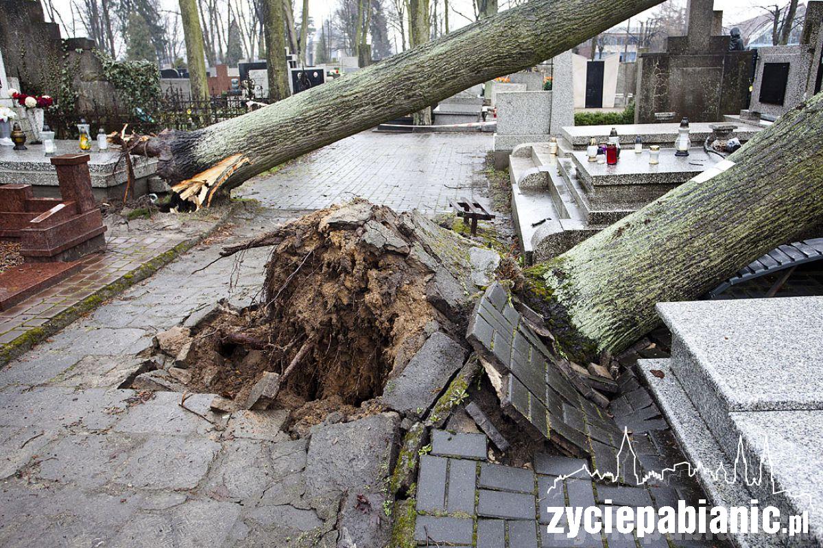 Wichura powaliła drzewa