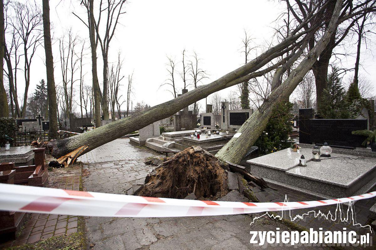 Wichura powaliła drzewa