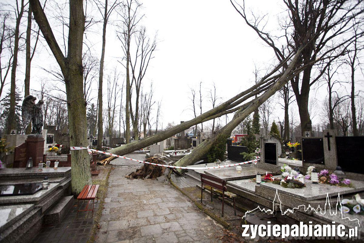 Wichura powaliła drzewa