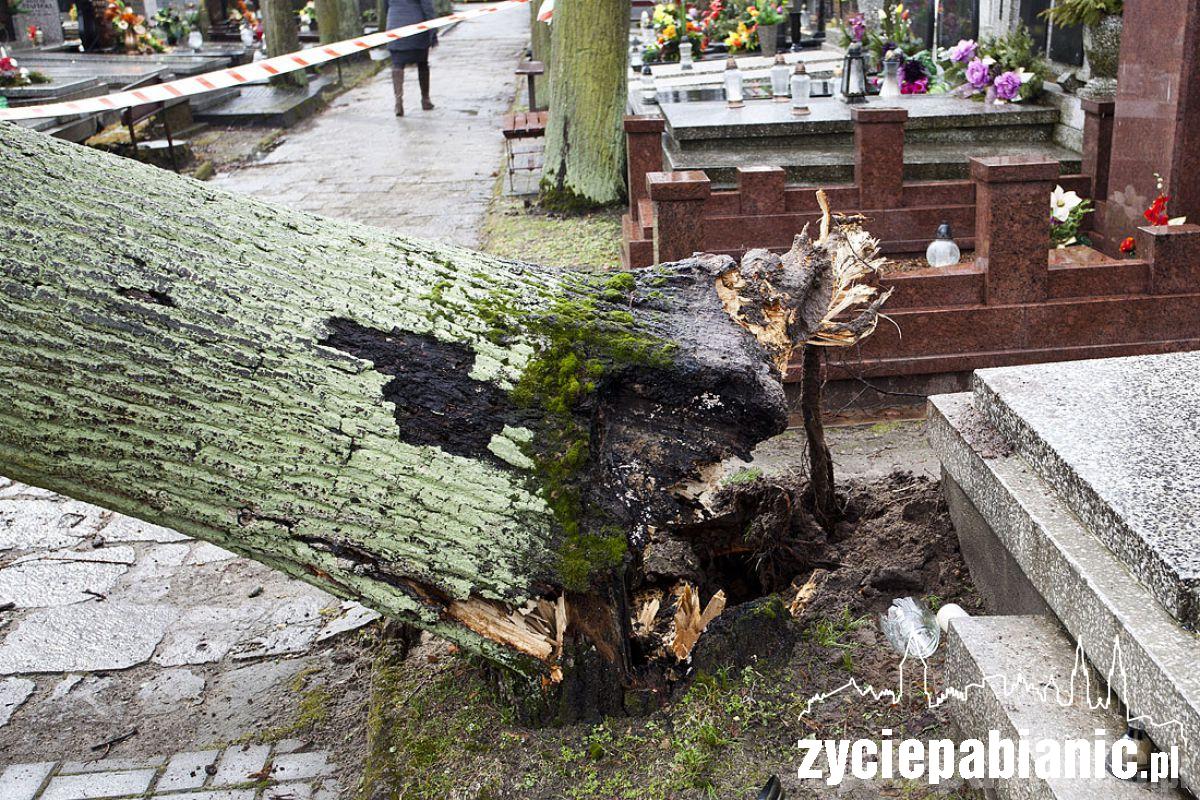 Wichura powaliła drzewa