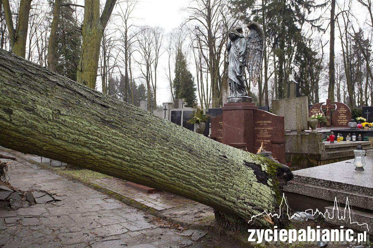 Wichura powaliła drzewa