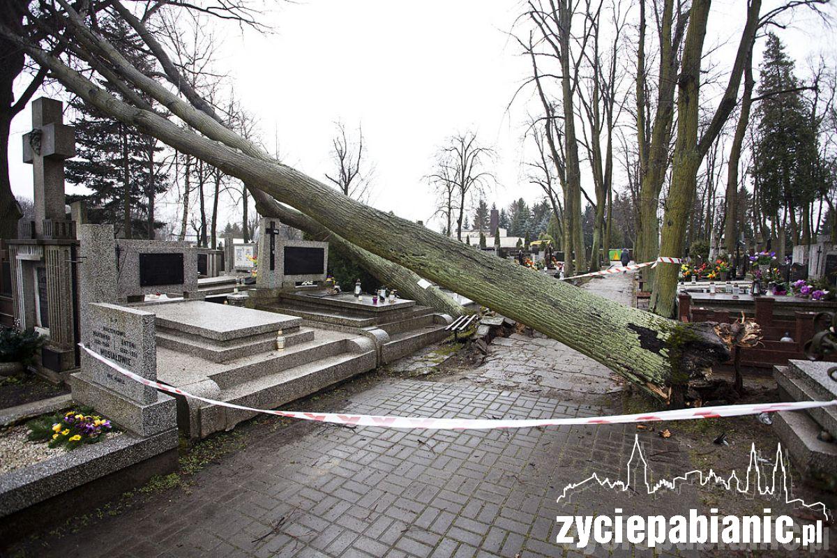 Wichura powaliła drzewa