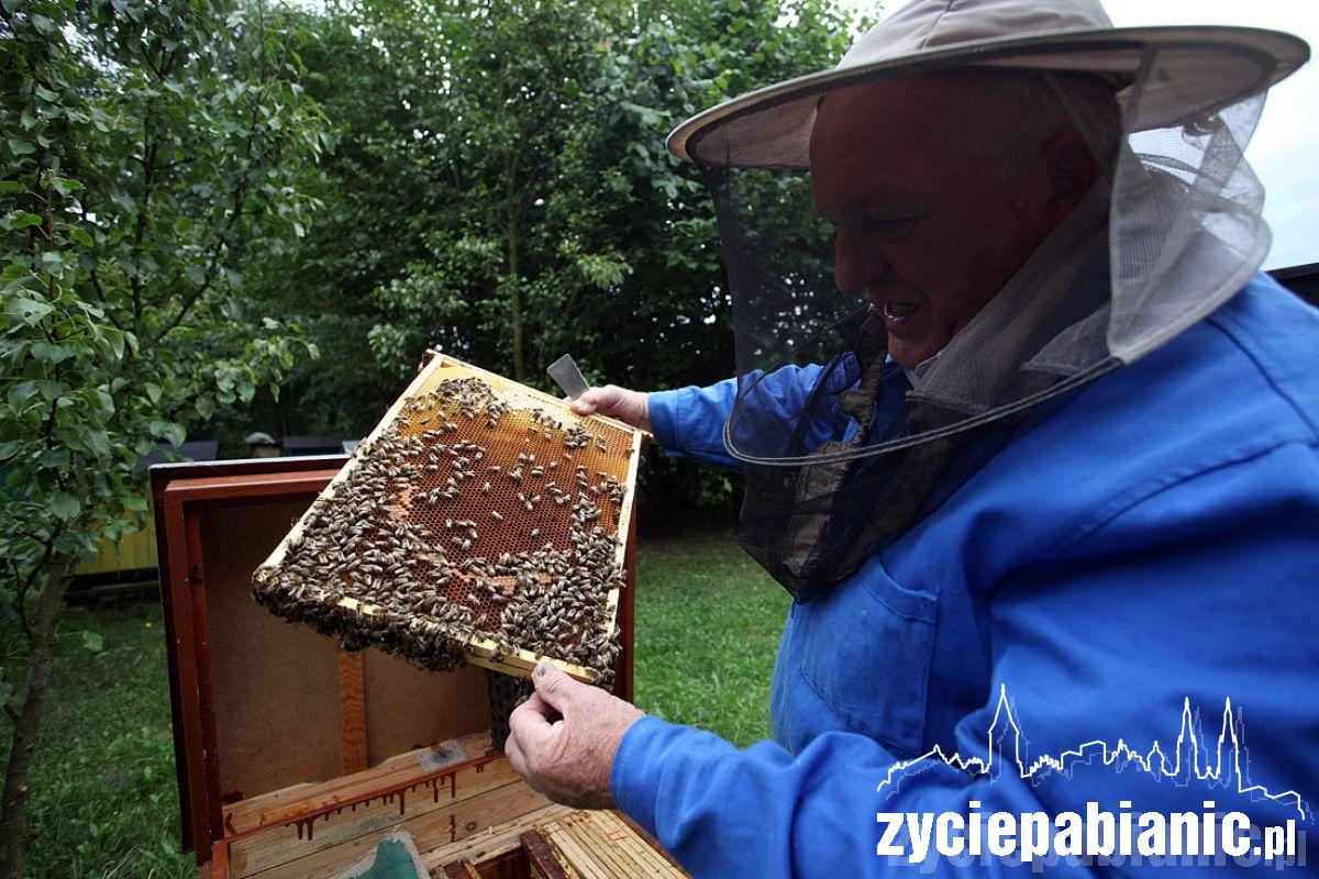 8 sierpnia Wielki Dzień Pszczół