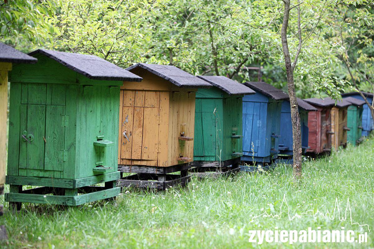 8 sierpnia Wielki Dzień Pszczół